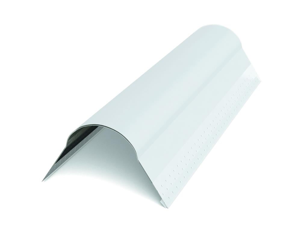 A single green leaf against a white background.