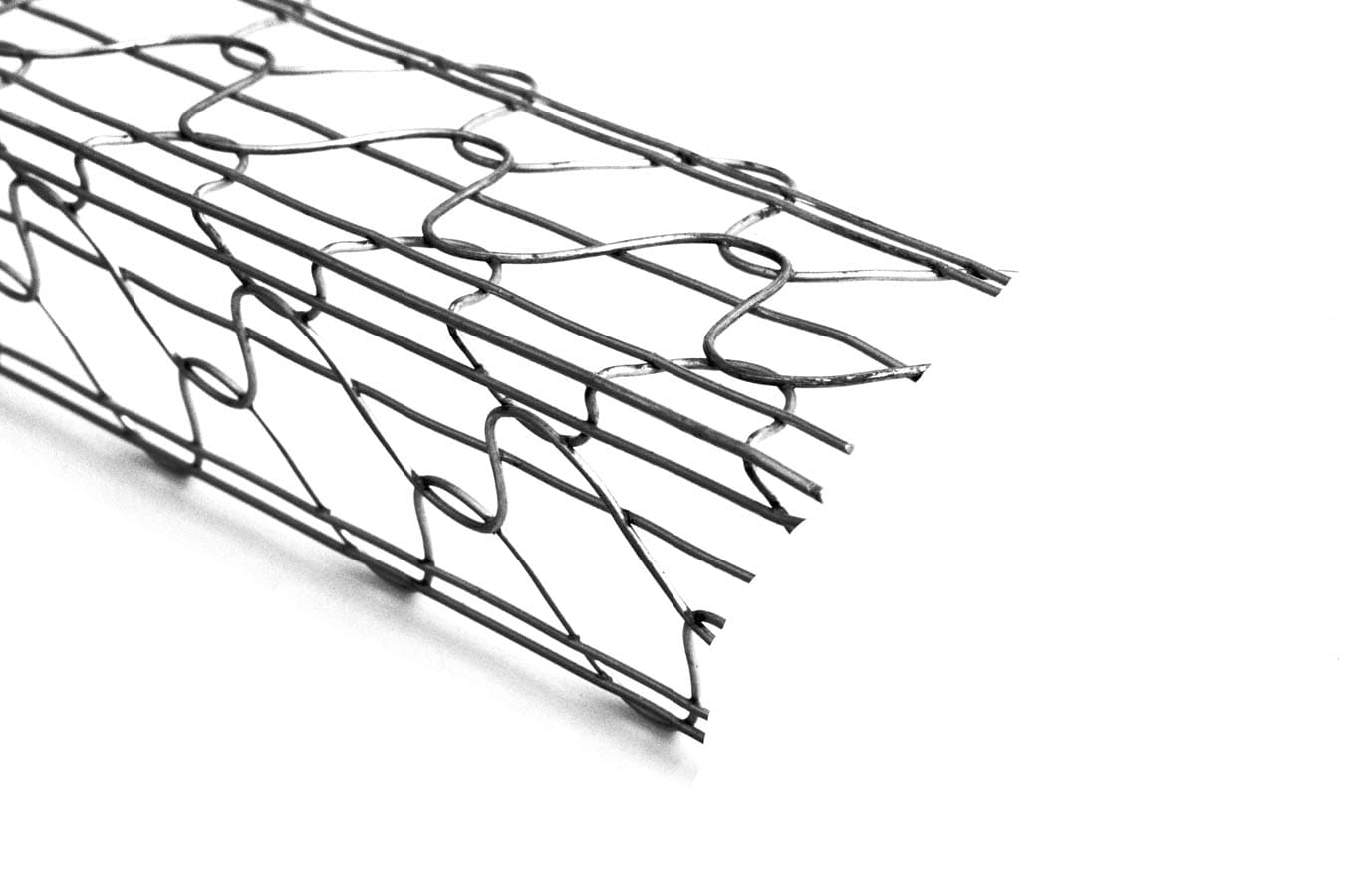 A single green leaf against a white background.