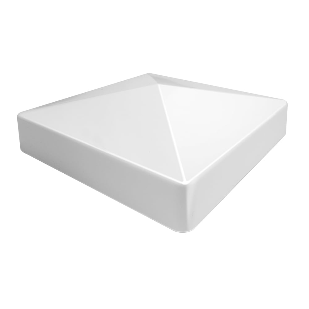 A single green leaf against a white background.