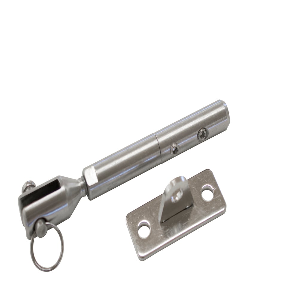 A single green leaf against a white background.