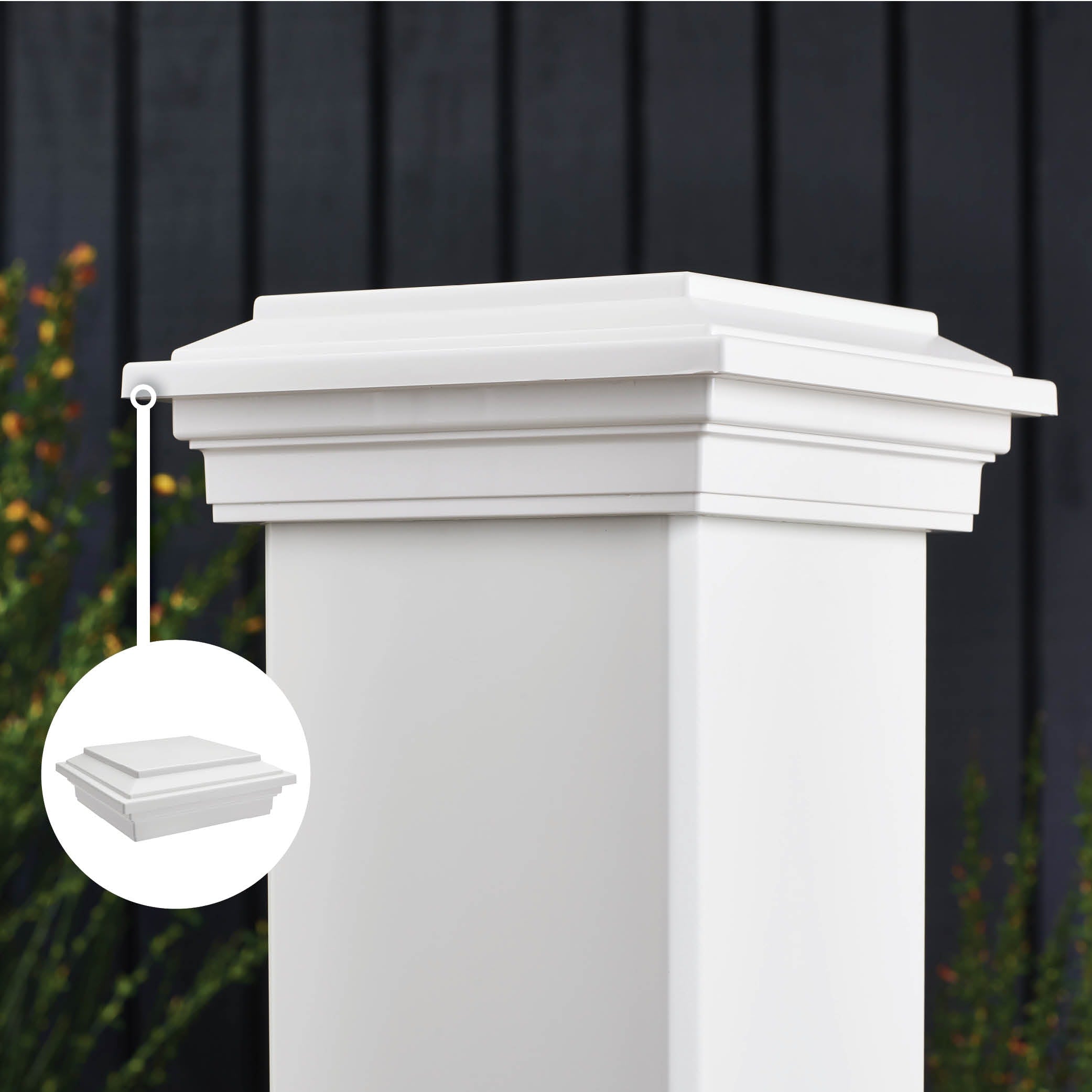 A single green leaf against a white background.