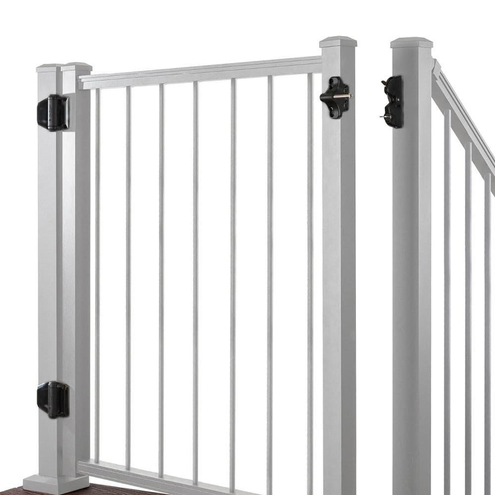 A single green leaf against a white background.