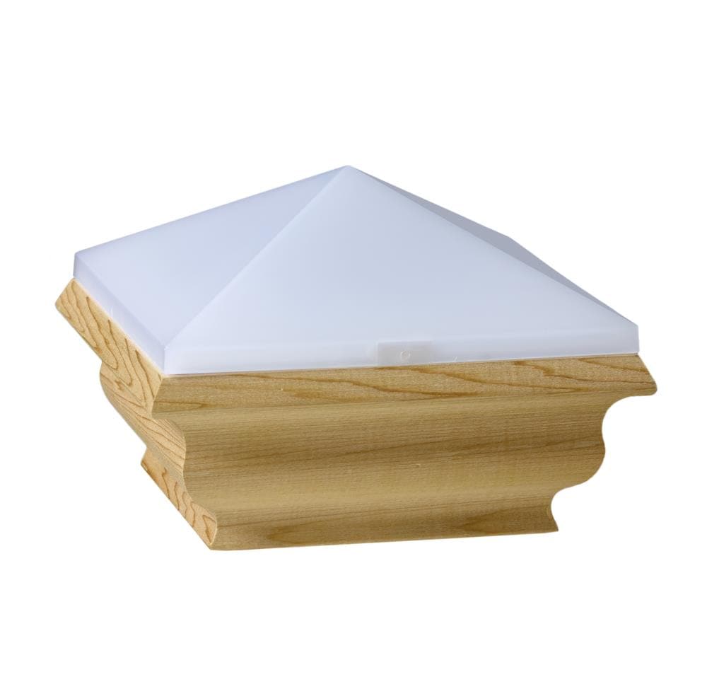 A single green leaf against a white background.