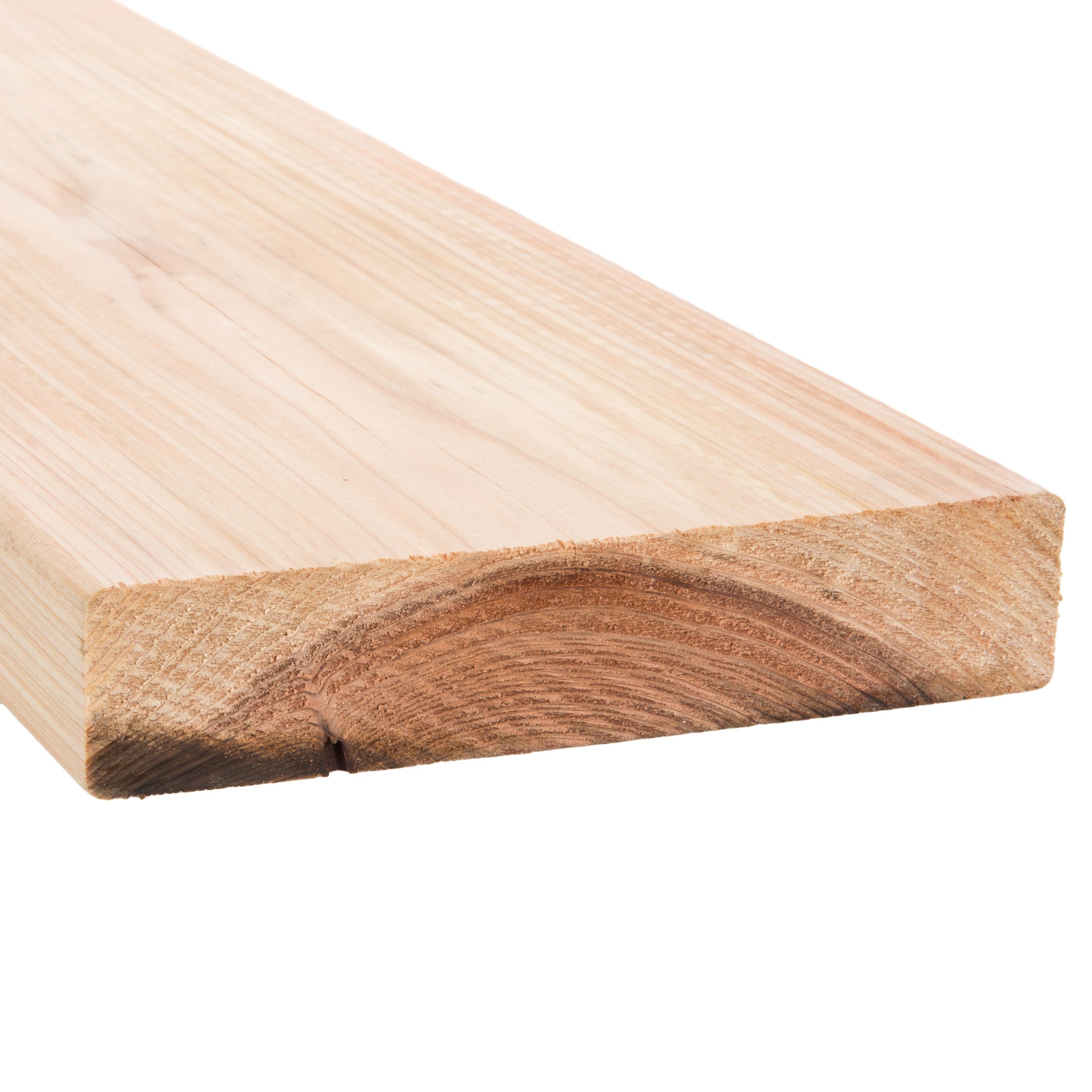 A single green leaf against a white background.