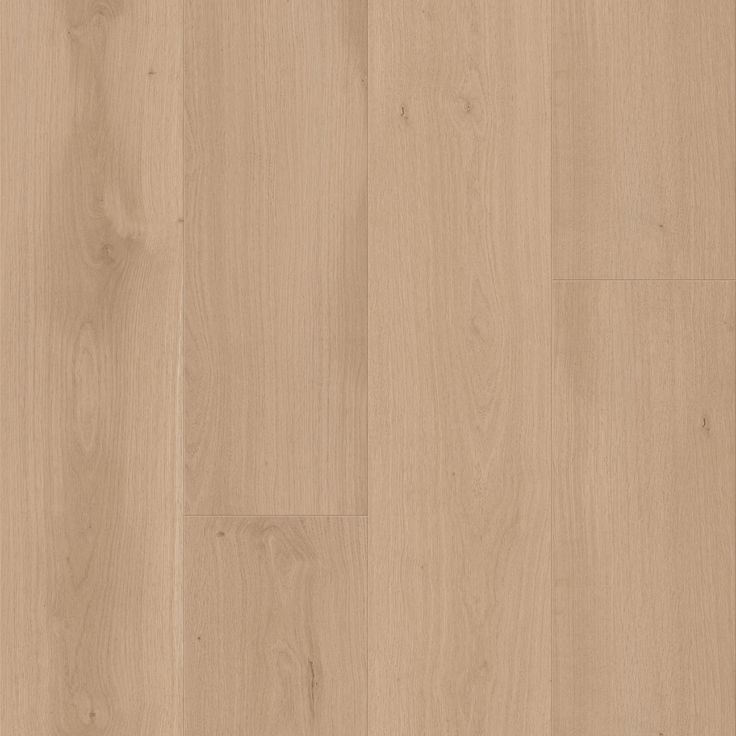 A single green leaf against a white background.