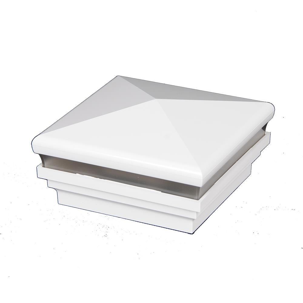 A single green leaf against a white background.