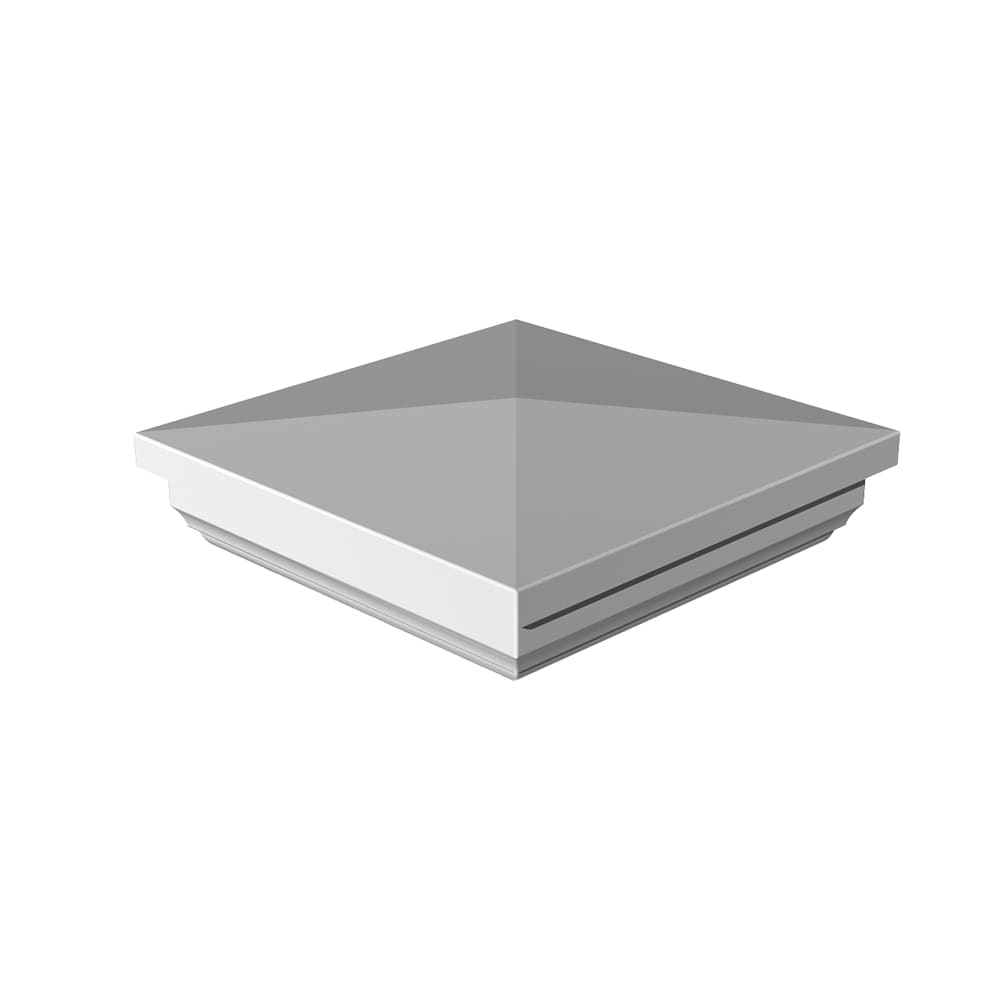 A single green leaf against a white background.