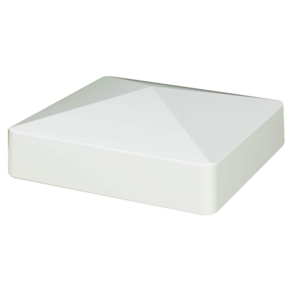 A single green leaf against a white background.