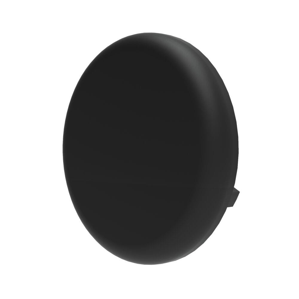 A single green leaf against a white background.