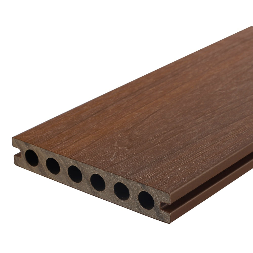 A single green leaf against a white background.