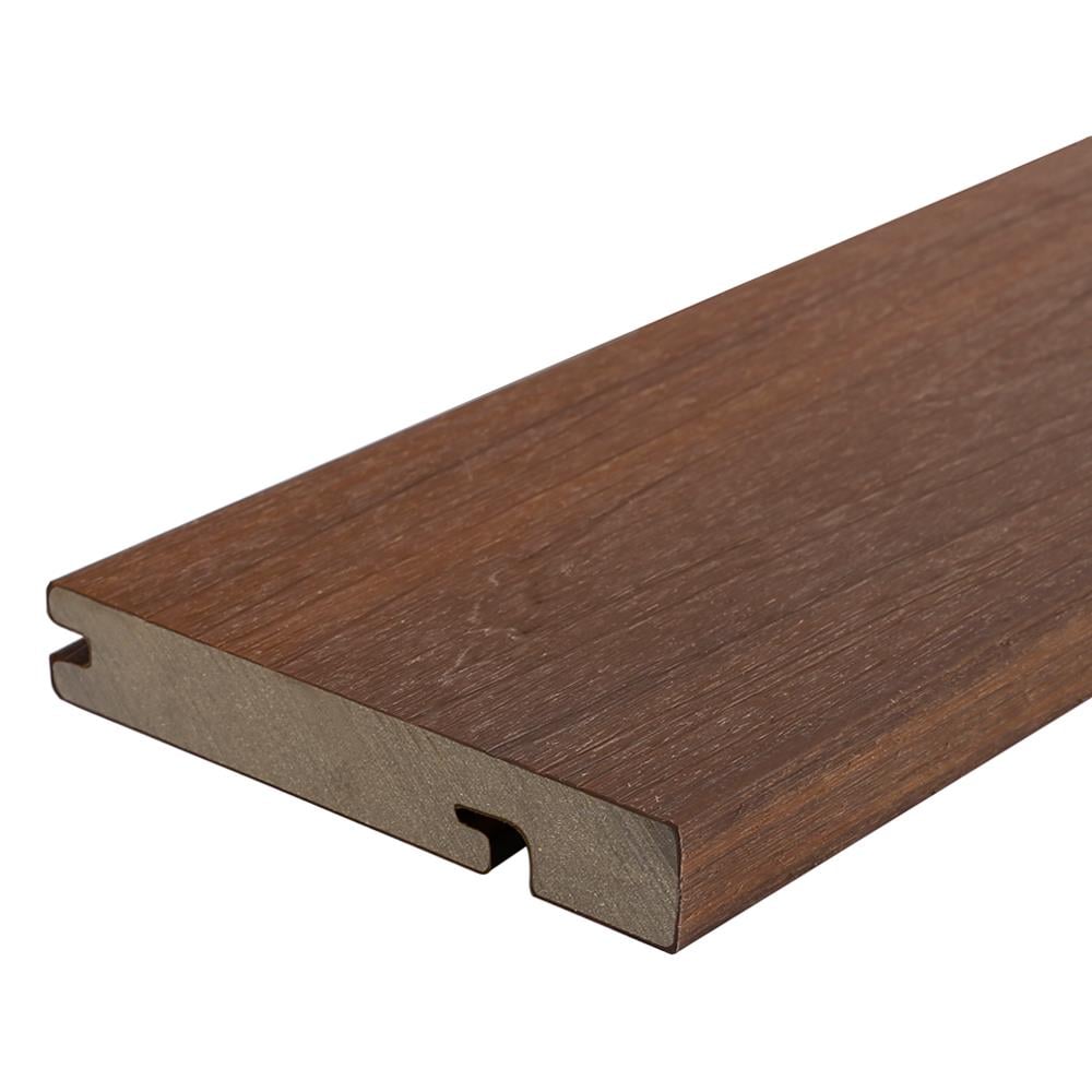 A single green leaf against a white background.