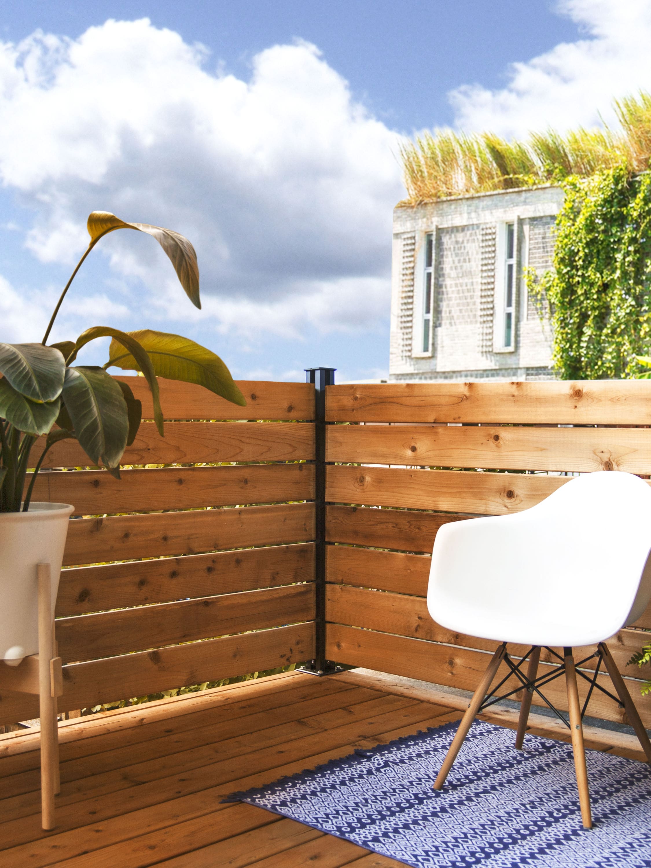 A single green leaf against a white background.