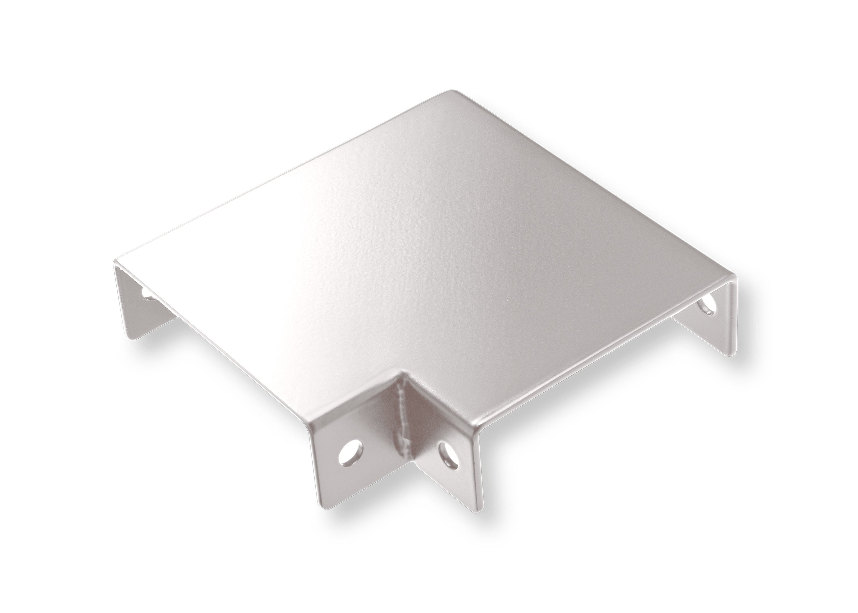 A single green leaf against a white background.