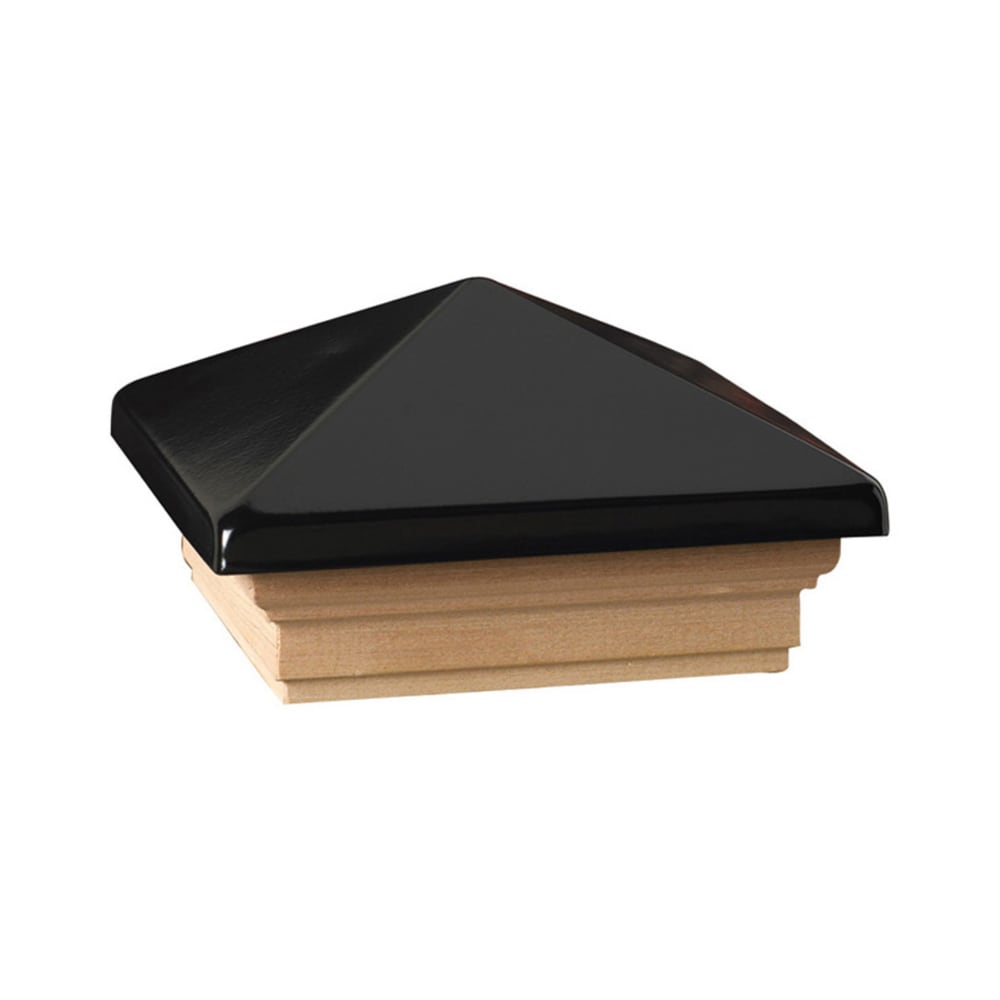 A single green leaf against a white background.