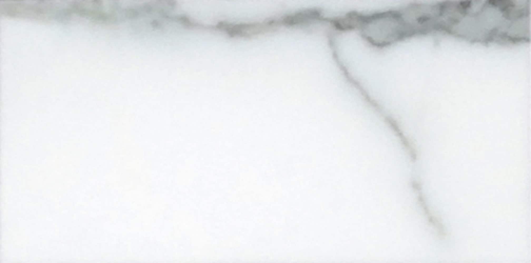 A single green leaf against a white background.