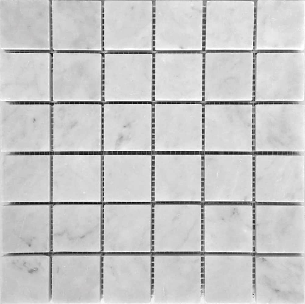 A single green leaf against a white background.