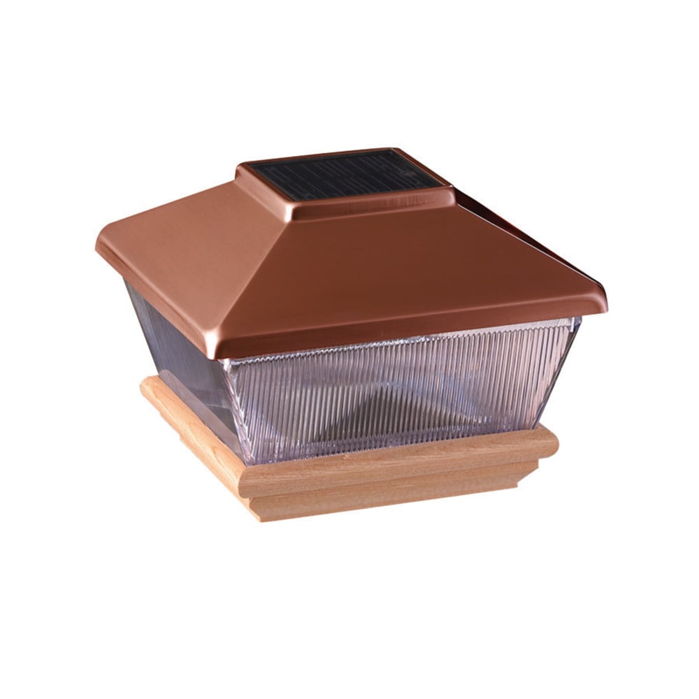 A single green leaf against a white background.