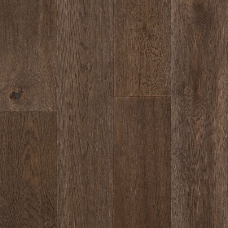 A single green leaf against a white background.