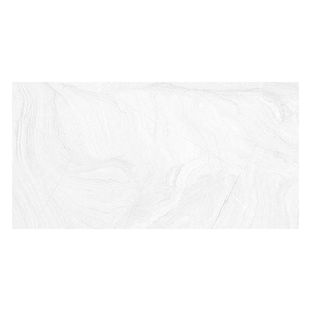 A single green leaf against a white background.