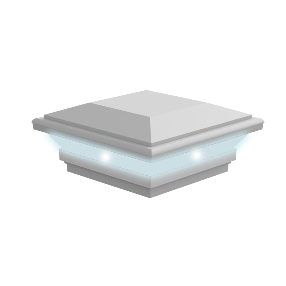 A single green leaf against a white background.