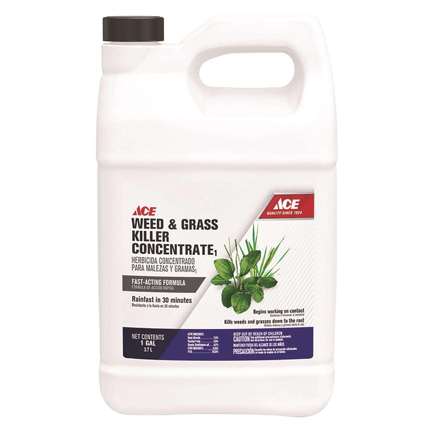 Ace Weed and Grass Killer Concentrate 1 gal Super Arbor