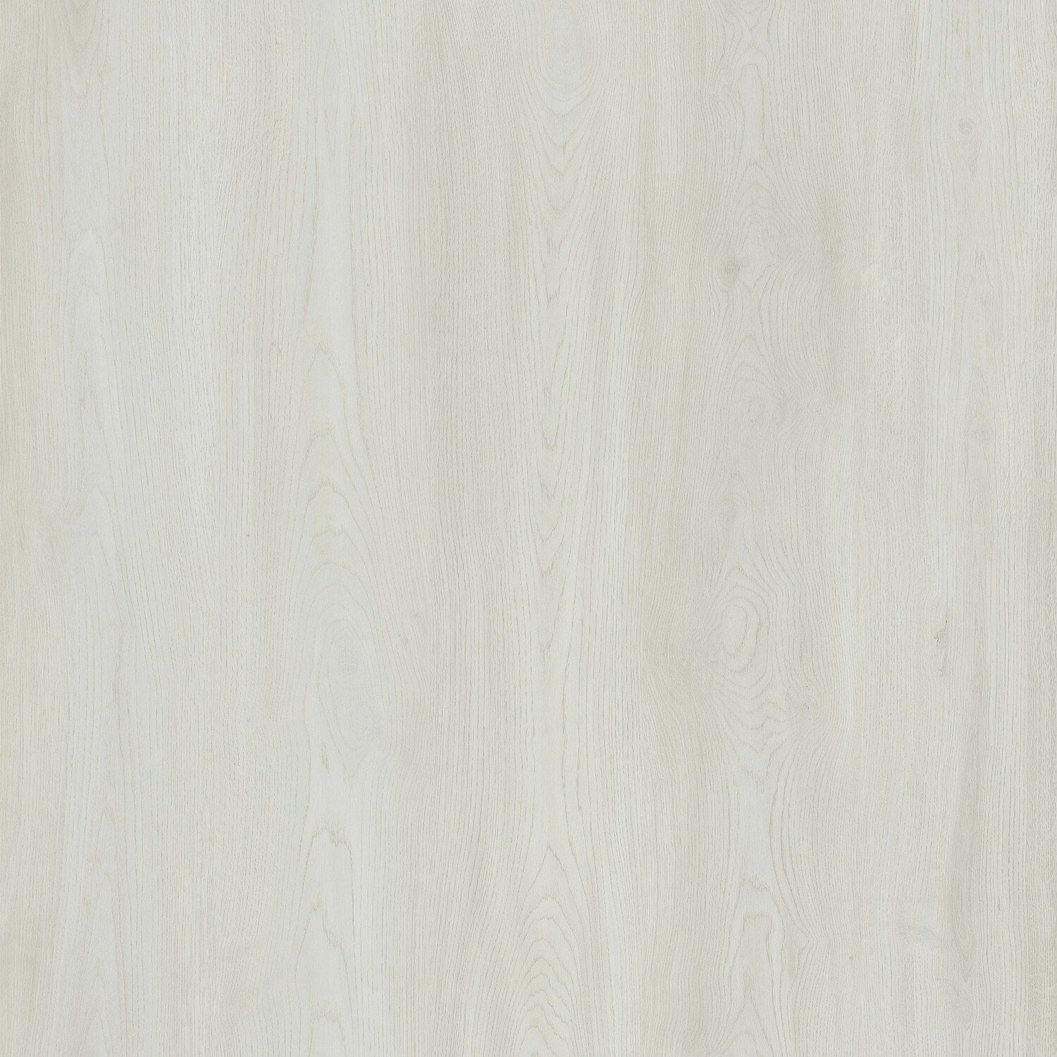 A single green leaf against a white background.