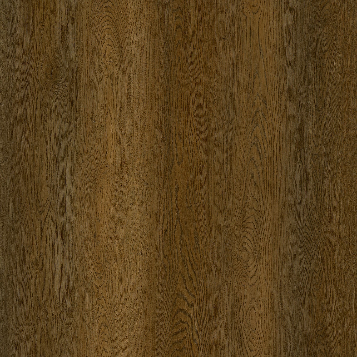 A single green leaf against a white background.