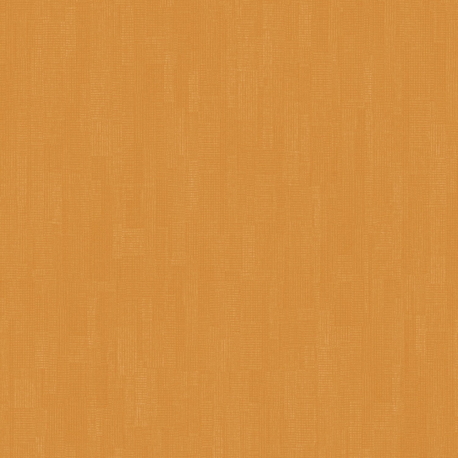 A single green leaf against a white background.