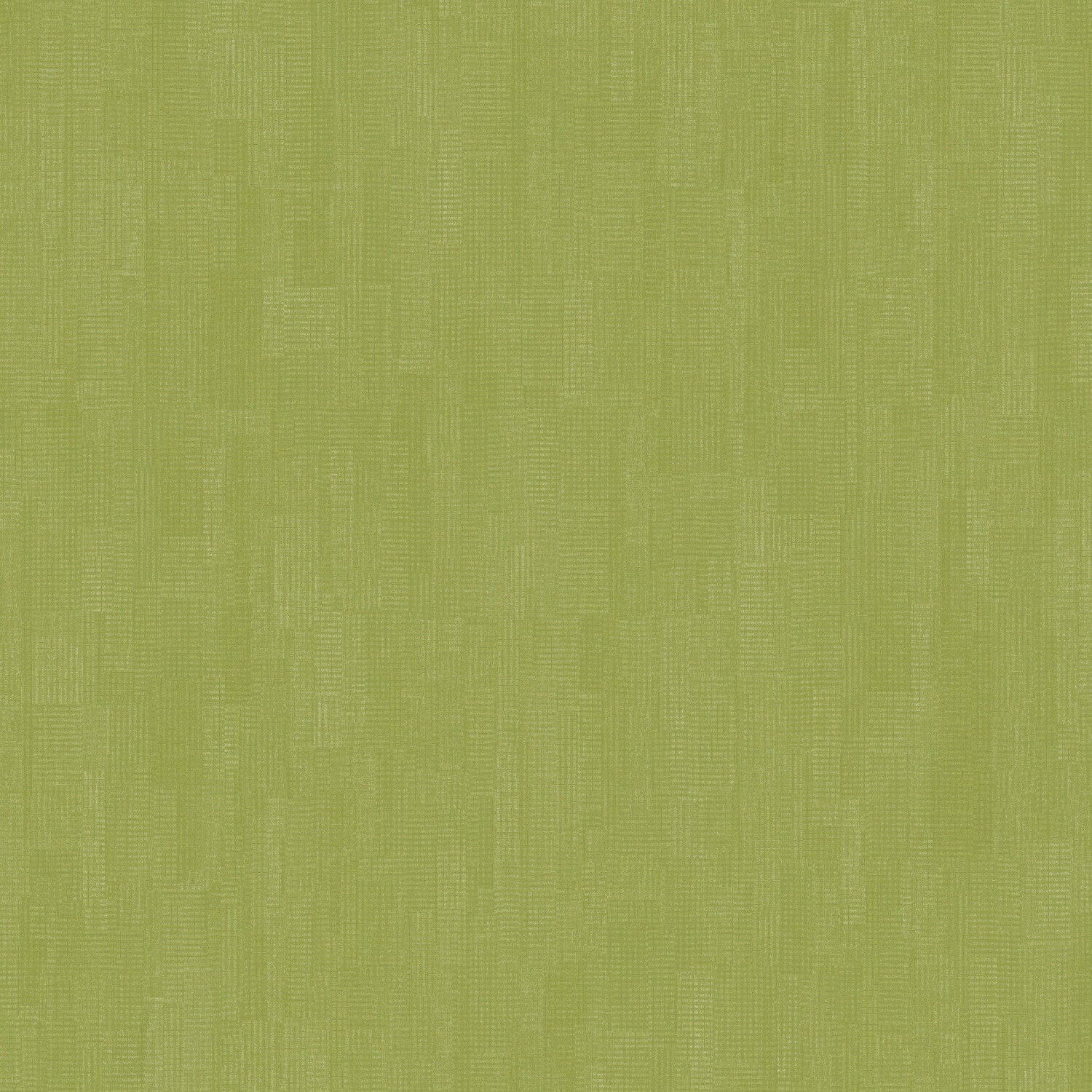 A single green leaf against a white background.