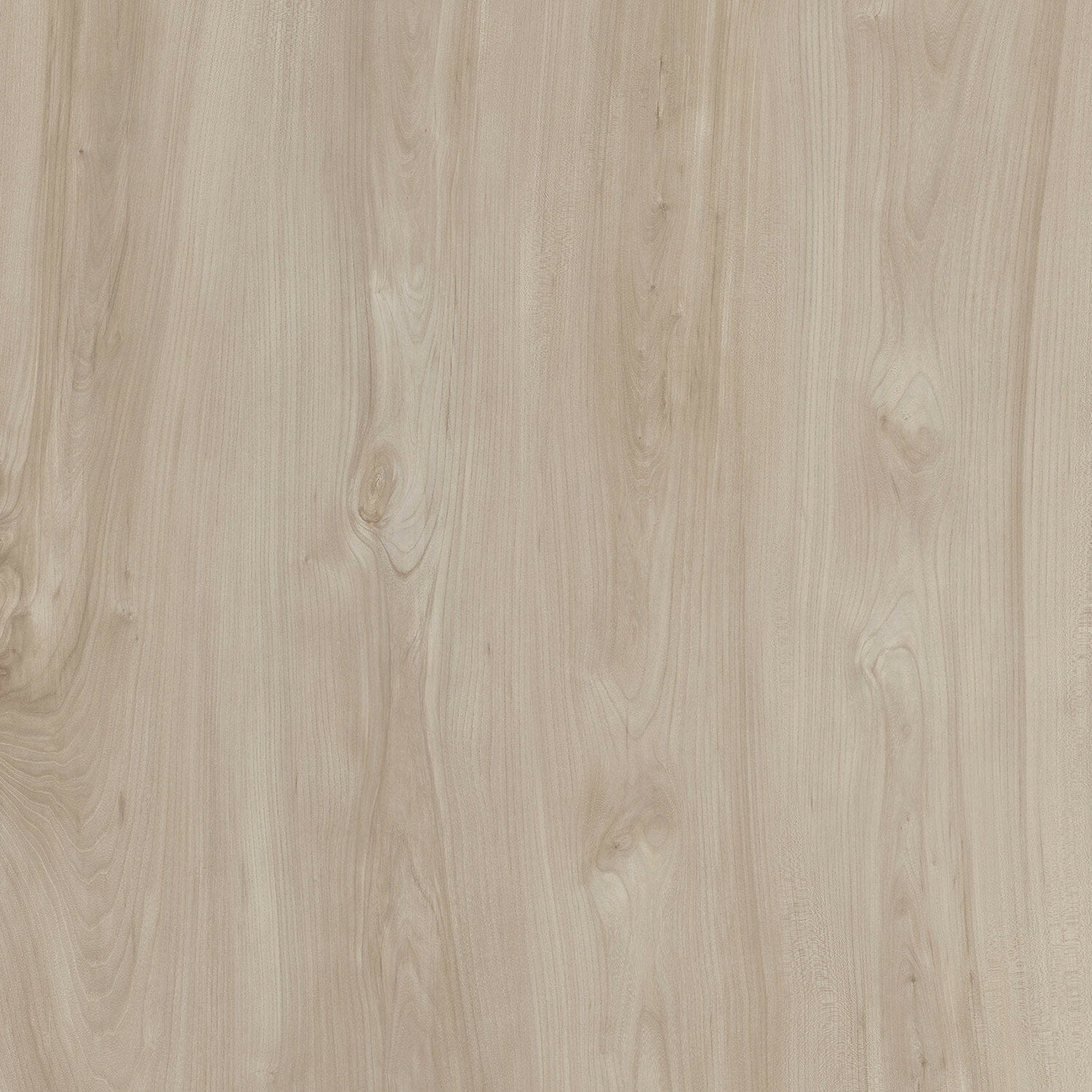 A single green leaf against a white background.