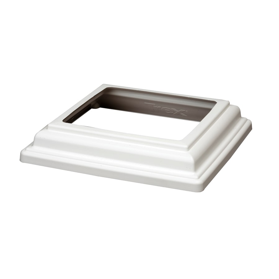 A single green leaf against a white background.