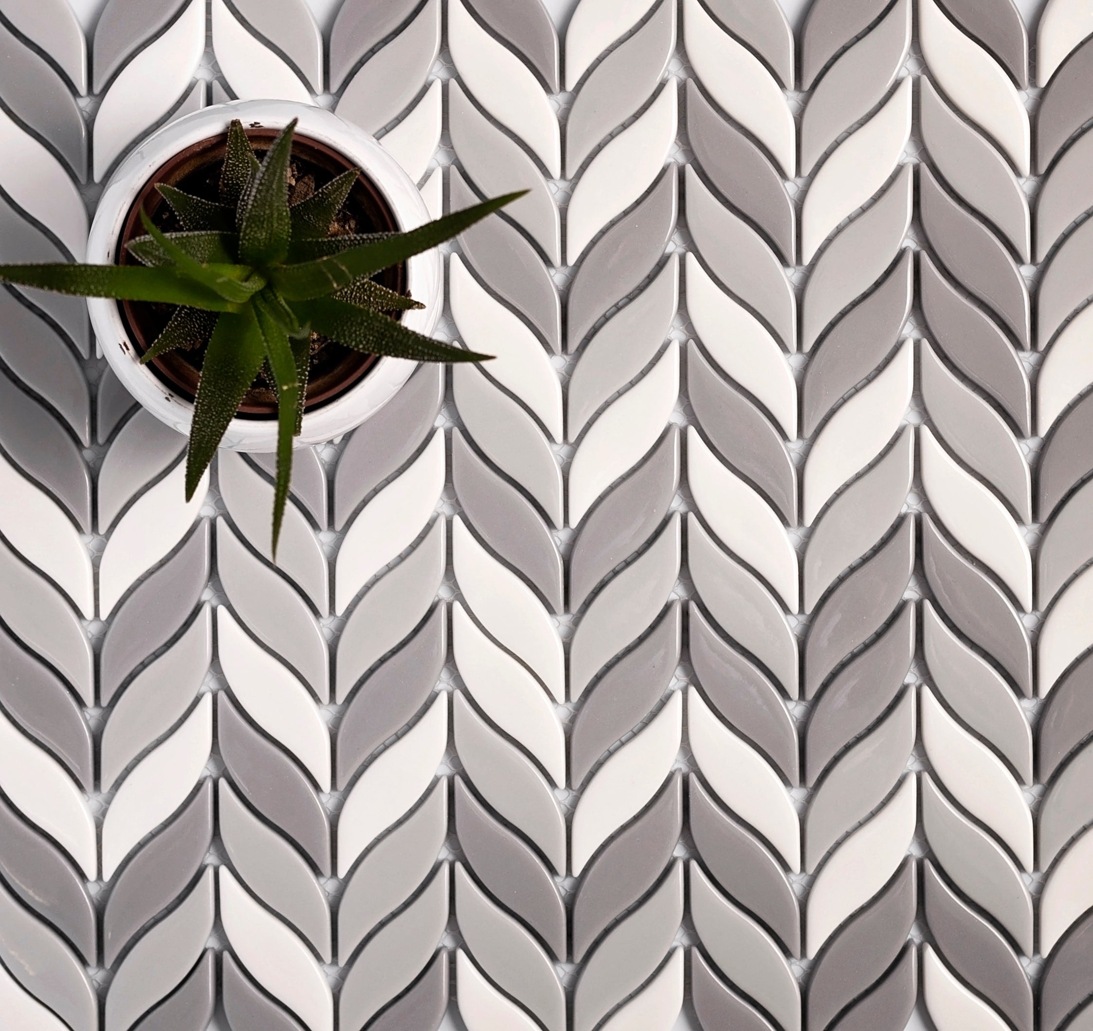 A single green leaf against a white background.