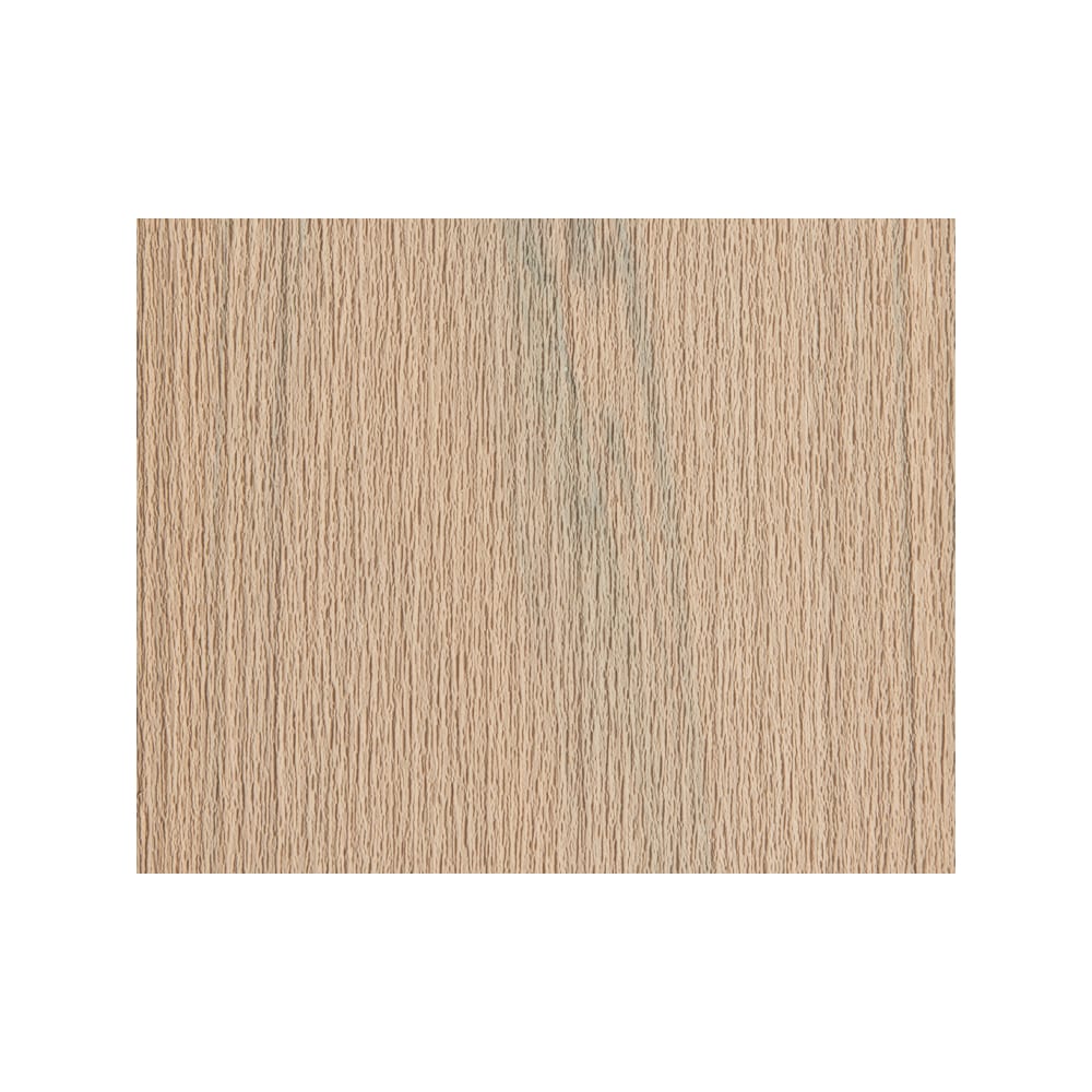 A single green leaf against a white background.