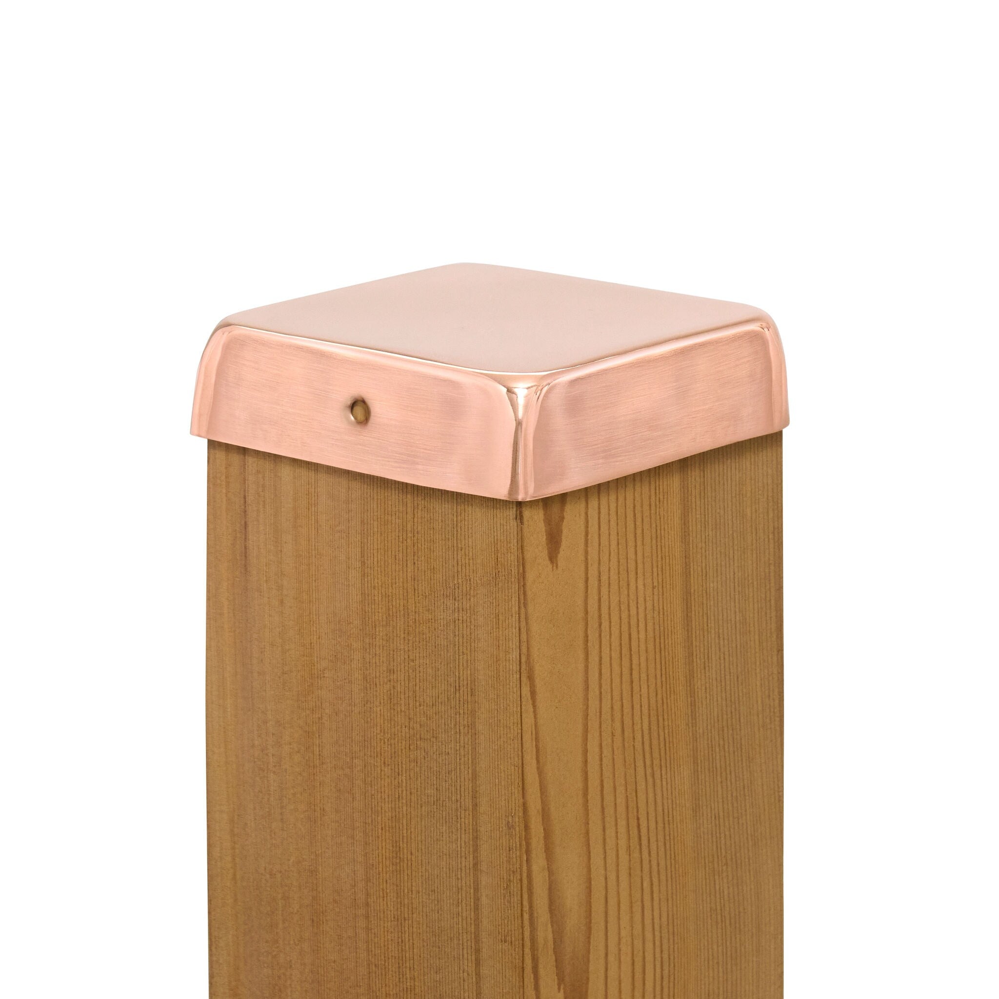 A single green leaf against a white background.