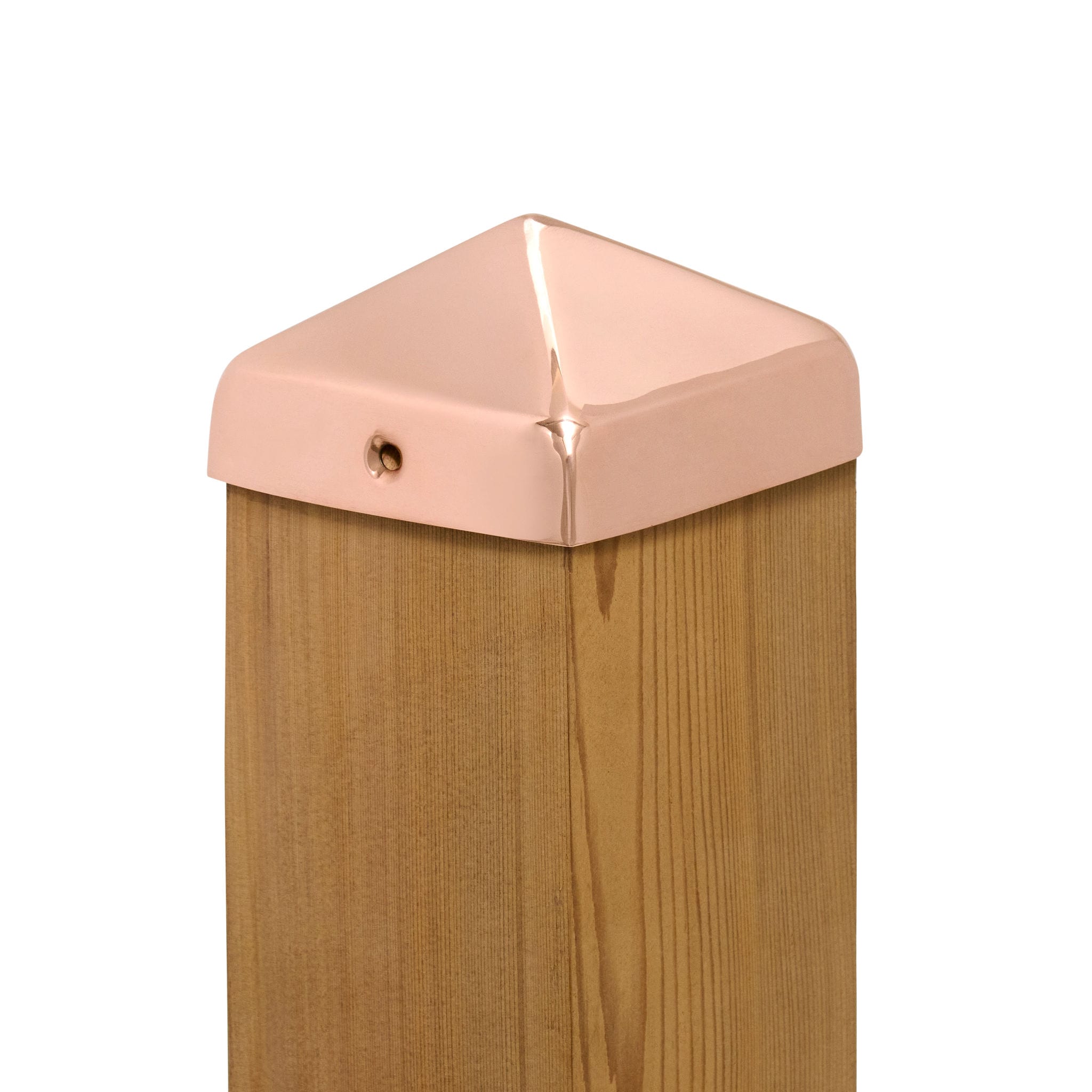 A single green leaf against a white background.