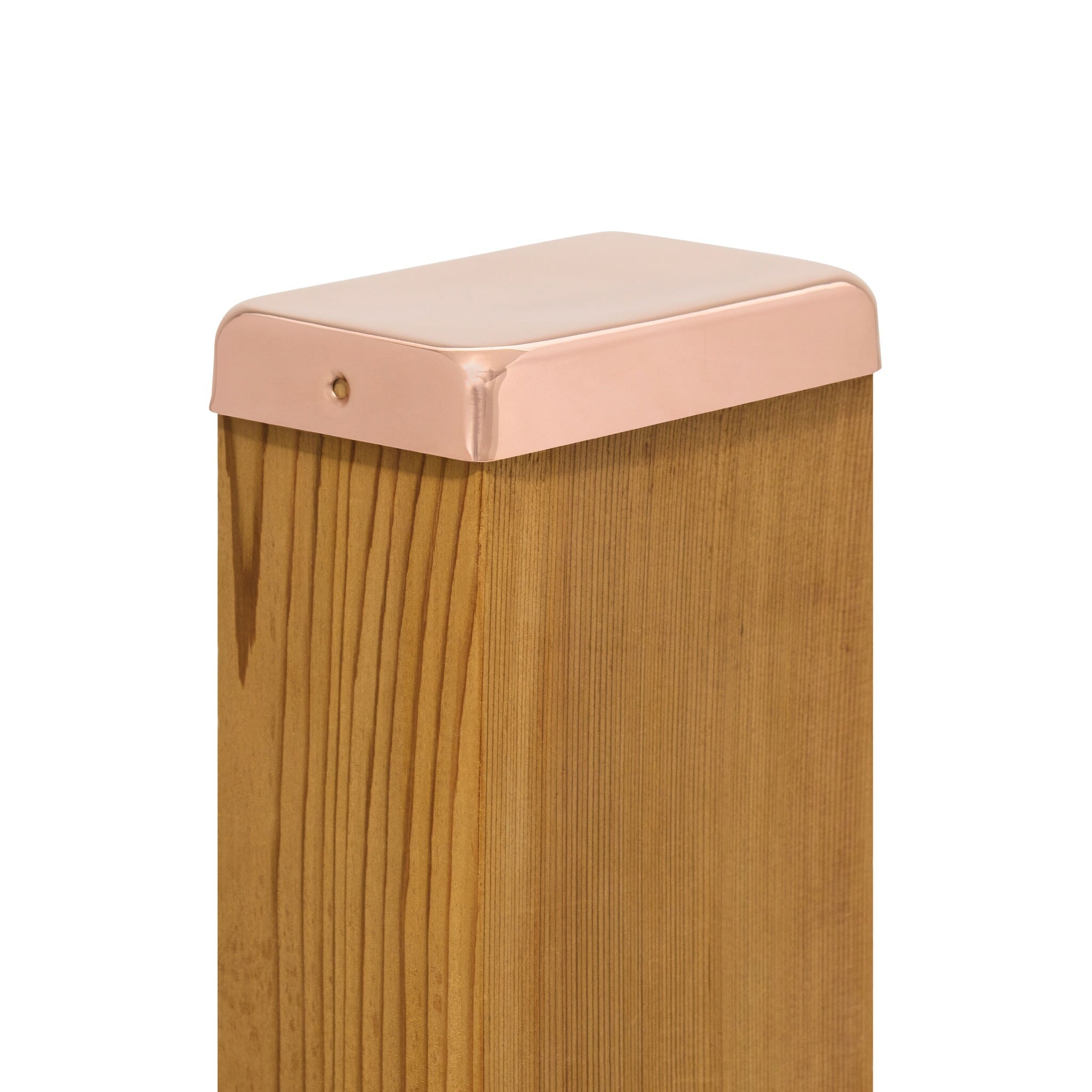 A single green leaf against a white background.