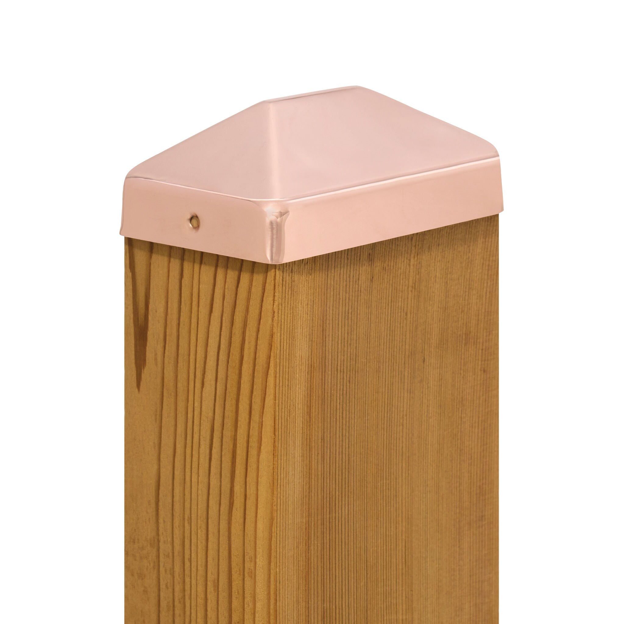 A single green leaf against a white background.