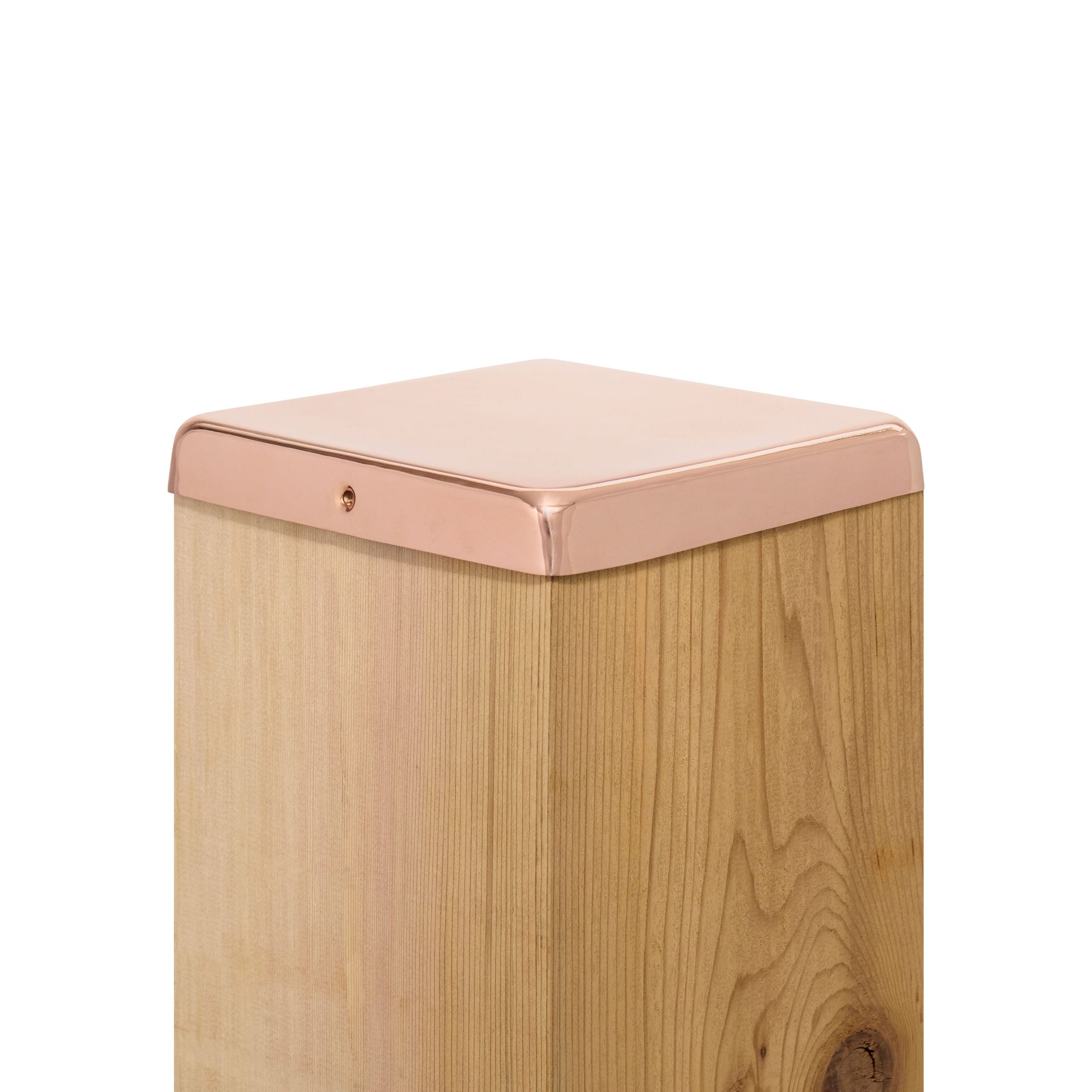 A single green leaf against a white background.