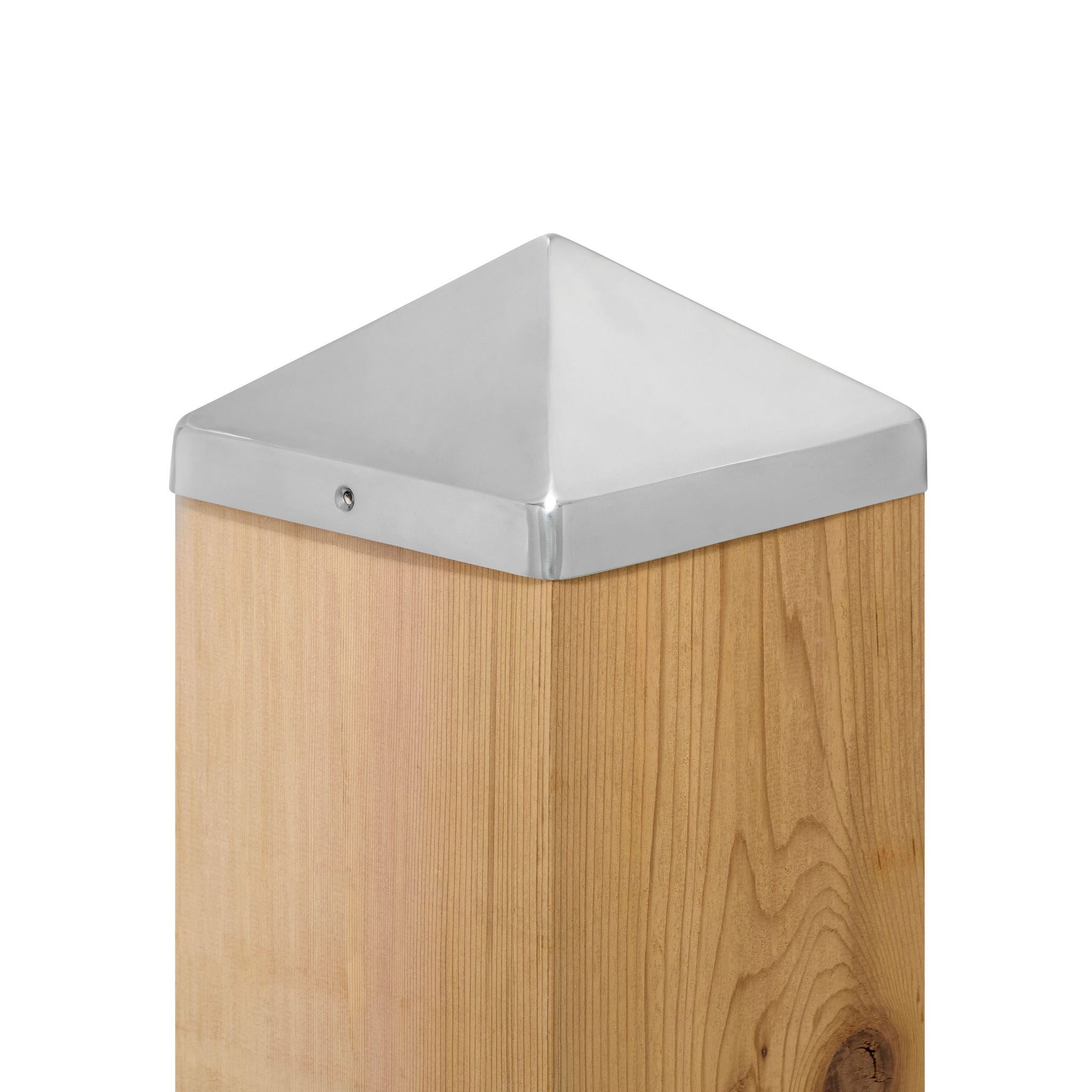 A single green leaf against a white background.