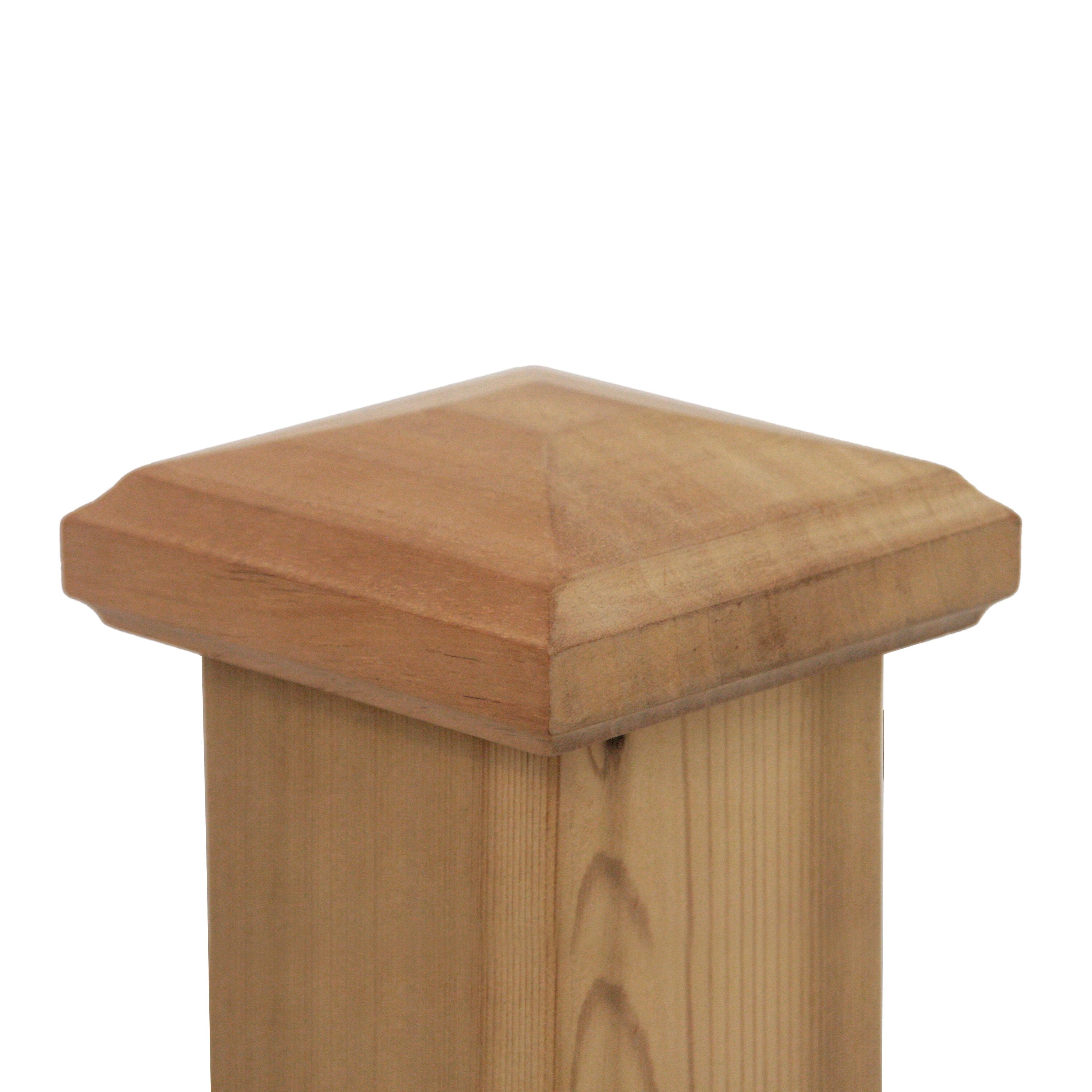 A single green leaf against a white background.