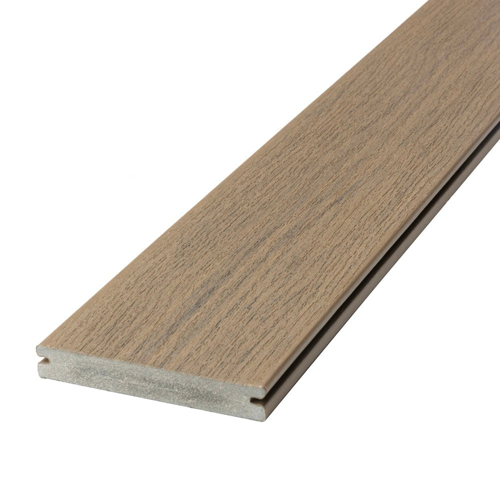 A single green leaf against a white background.