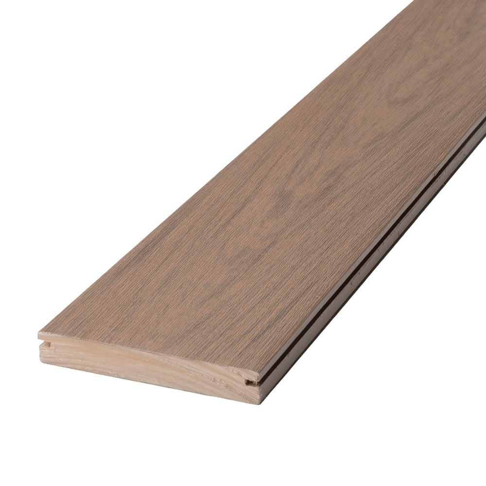 A single green leaf against a white background.