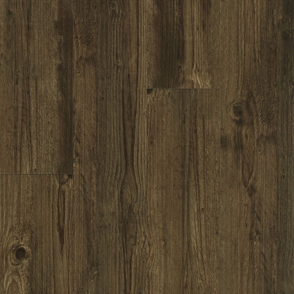 A single green leaf against a white background.