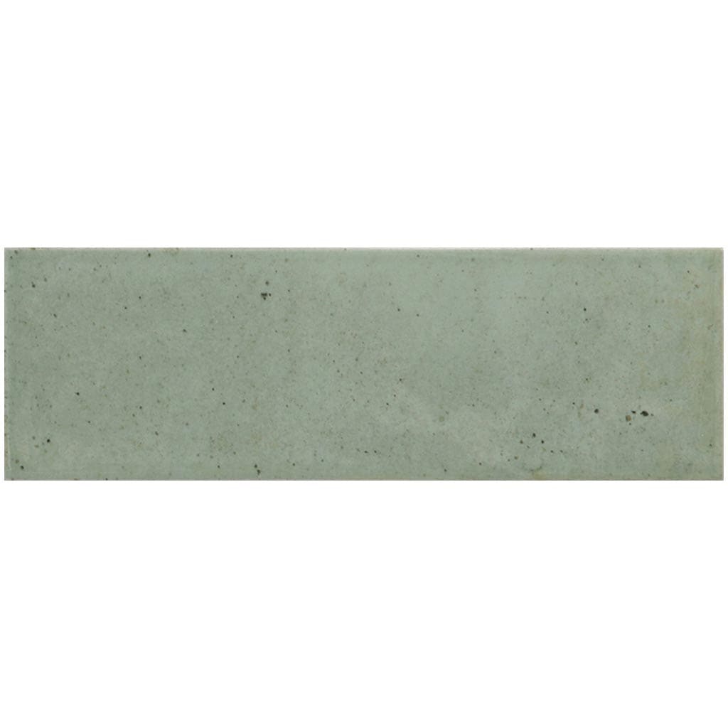 A single green leaf against a white background.