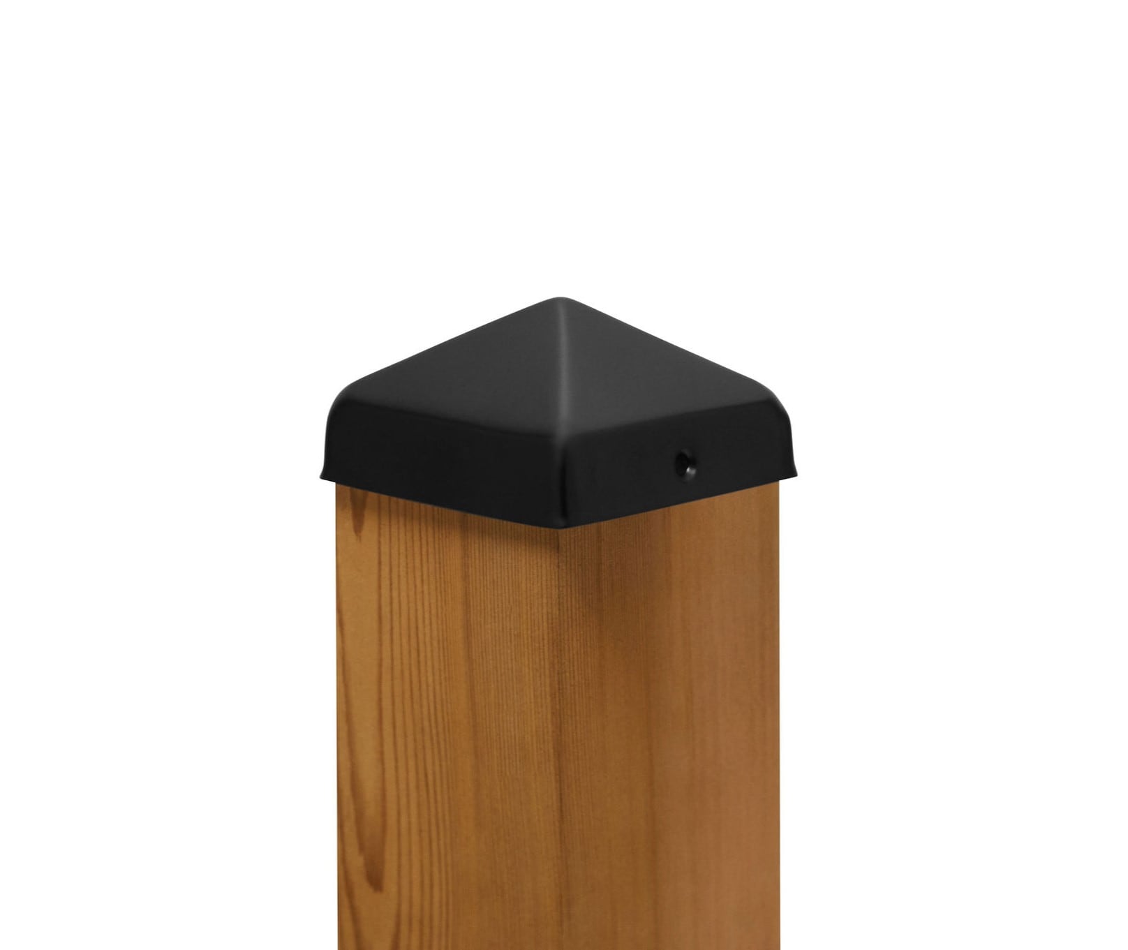 A single green leaf against a white background.