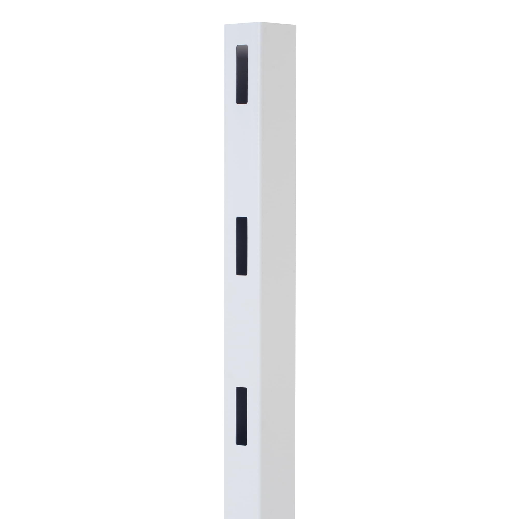 A single green leaf against a white background.