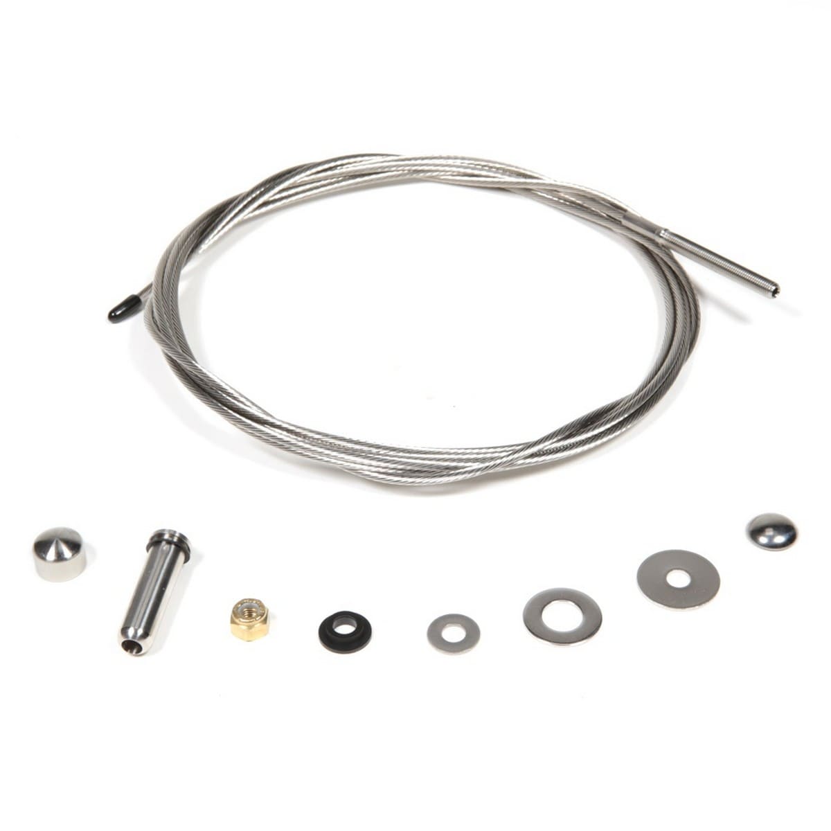 A single green leaf against a white background.