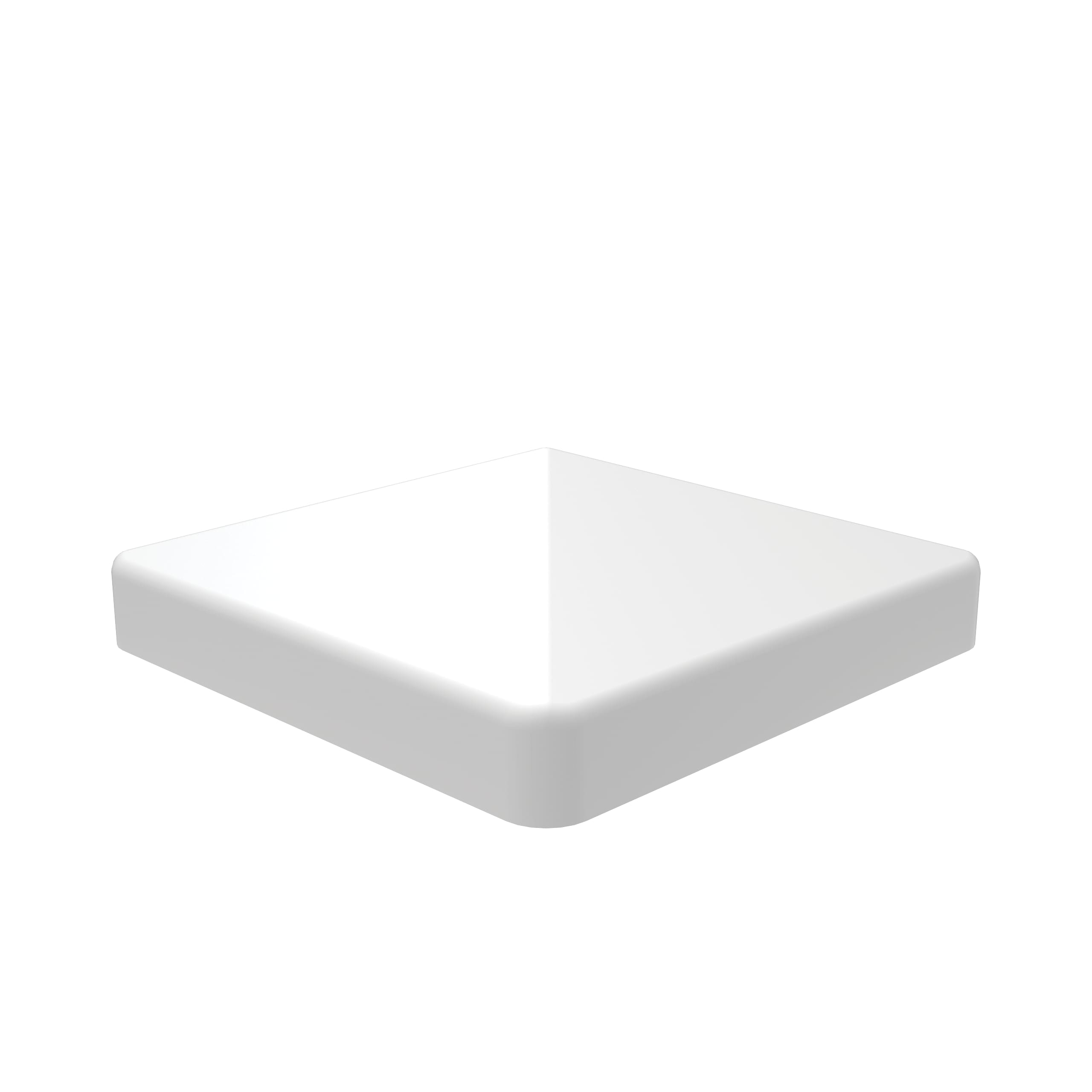 A single green leaf against a white background.