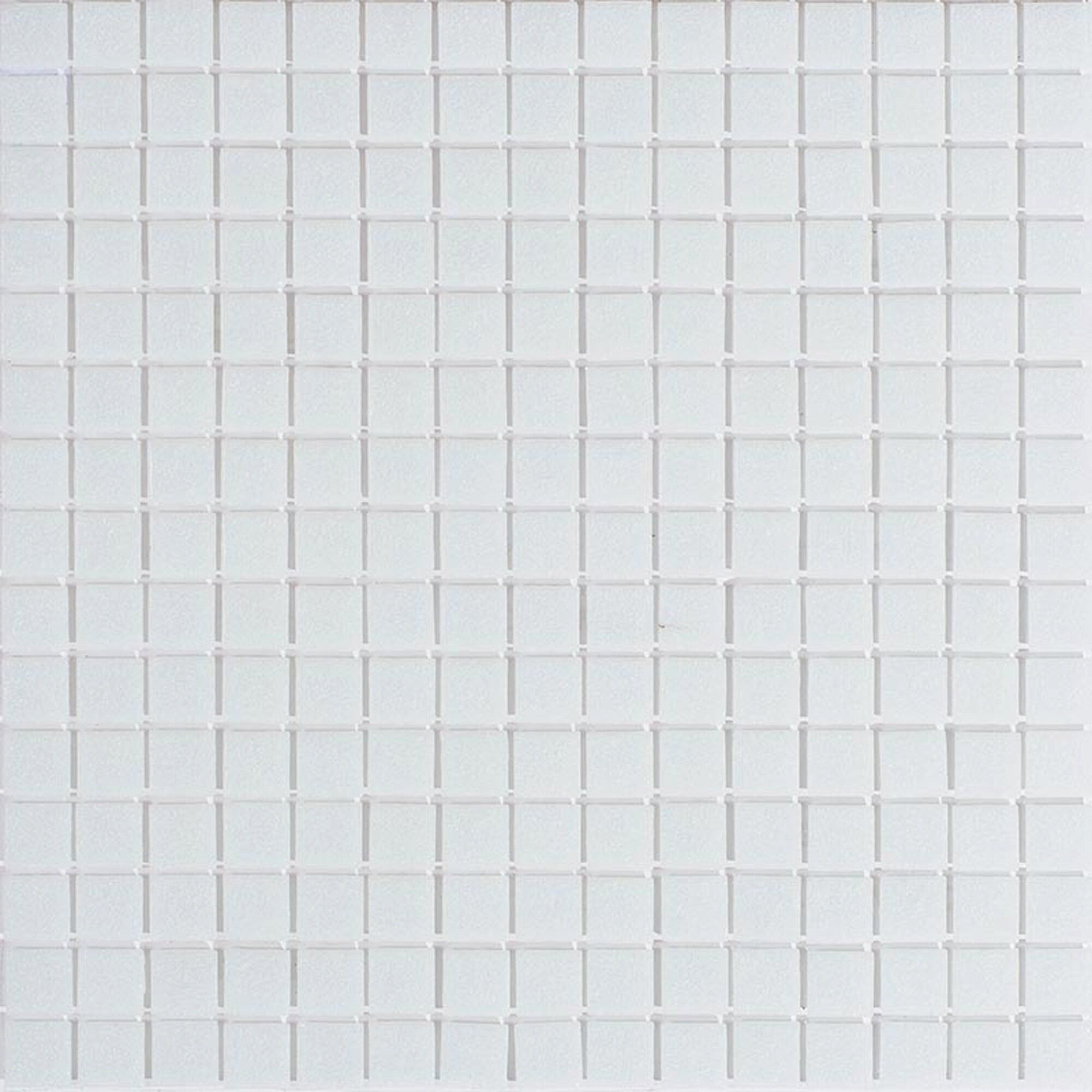 A single green leaf against a white background.