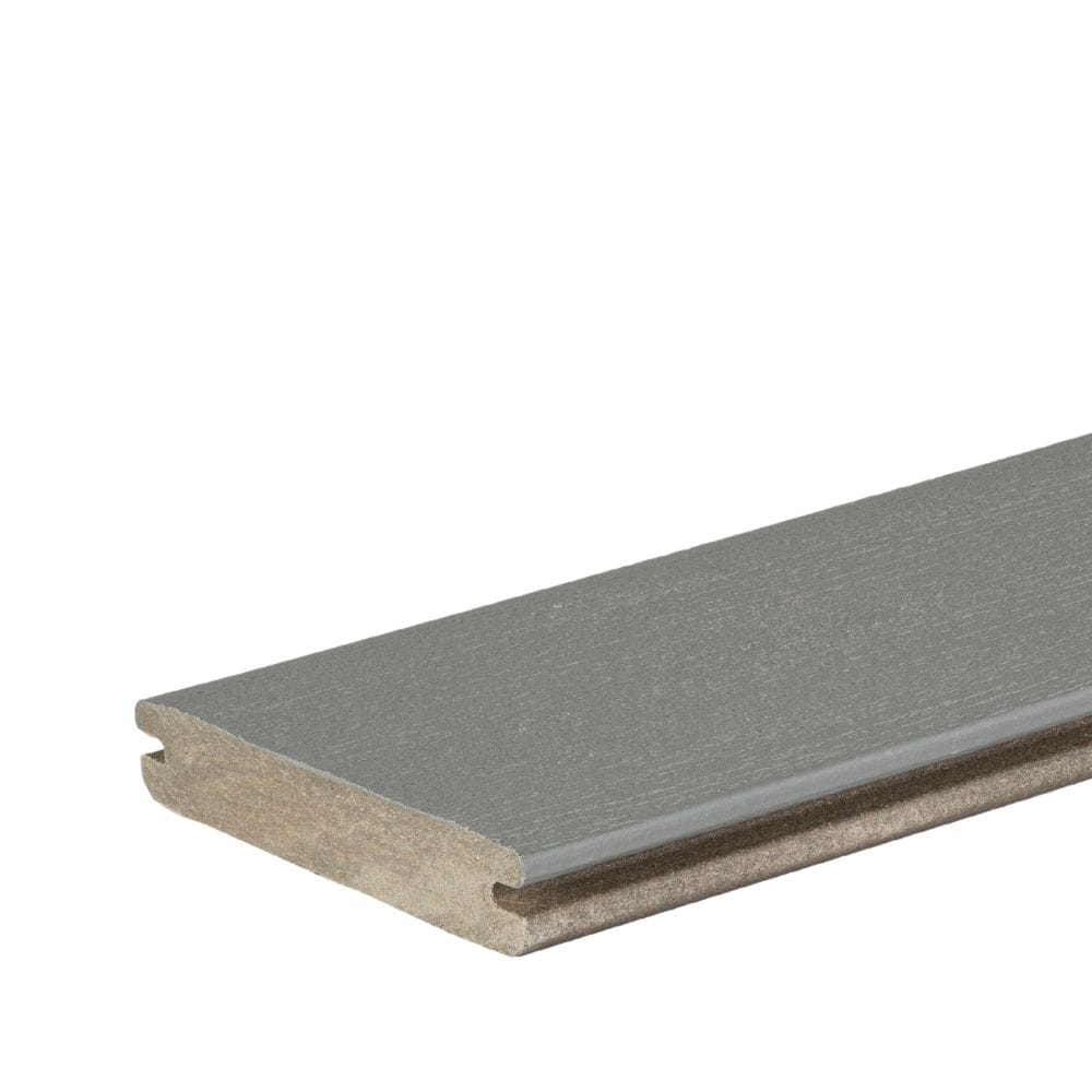 A single green leaf against a white background.